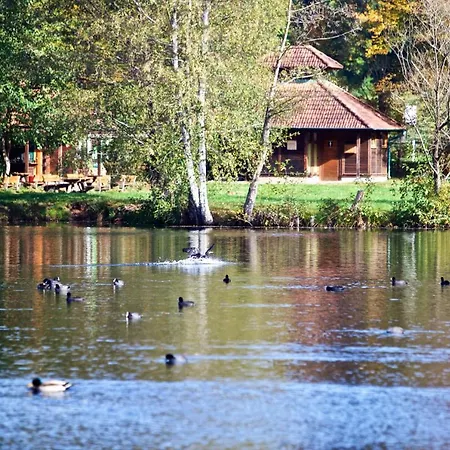 Felsenland Apartment Ludwigswinkel Buitenkant foto